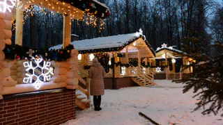 Рязанцы выбрали лучший новогодний гимн