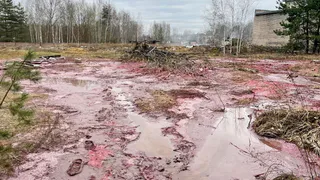 В Петушках возбуждено уголовное дело о тотальном загрязнении почвы
