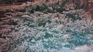 Этой зимой случится то, чего не было с 1772 года. Синоптики предупредили, к чему стоит готовиться в январе