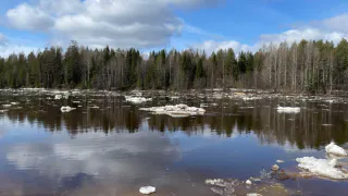 В Коми продолжается весенний паводок