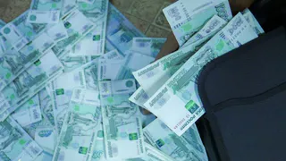 В Брянской области председатель кооператива похитила часть субсидии