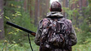 В Коми открывается сезон охоты на бурого медведя, кабана и волка