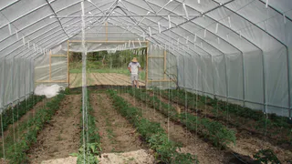 Пекарь из России объехал 27 стран чтобы найти идеальную теплицу: вот за что ему чуть не дали Нобелевскую премию