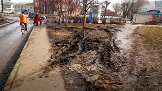 Госдума разрешит штрафовать водителей за парковку на газонах