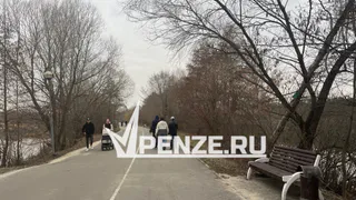 Пензенская область - в числе регионов с низкой рождаемостью