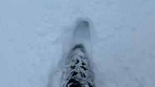 Стало известно, кто в Рязани зарабатывает на вывозе снега из города и почему они не справляются