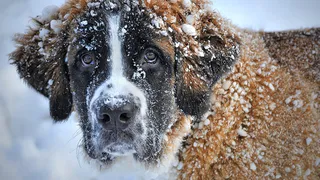 Объявлен благотворительный сбор макулатуры