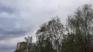 Надвигается гроза: в рязанском ГУ МЧС предупредили о резком ухудшении погоды