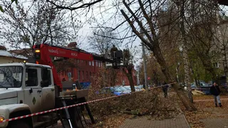 Рабочая неделя в Рязанской области начнется с осадков