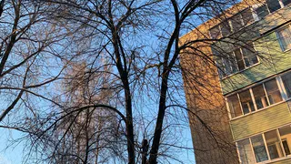 По-прежнему морозы: погода в Рязани на выходные