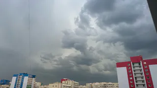 6 июля в Рязанской области ожидаются ливни и ветер до 27 м/с