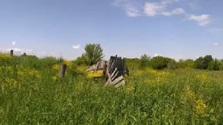 Ущерб экологии: в Рязани нашли 10 ничейных скотомогильников