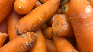 В Рязани заработала программа передачи бесплатной еды нуждающимся