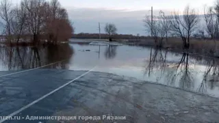 Паводок: автобус №11 в Рязани будет ходить по сокращенному маршруту