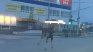 Бегущий лось в Рязани - видео