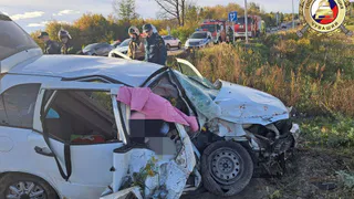 В Новочебоксарске легковушка влетела в поезд: погибла пассажирка авто