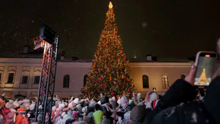 Во дворе Казанского Кремля зажгли главную новогоднюю ёлку