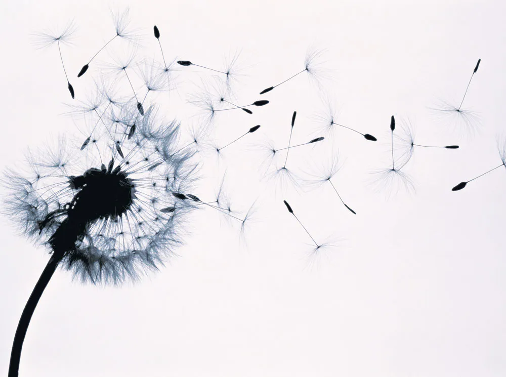 Как преодолеть рассеянность и перестать терять вещи