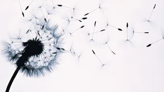 Как преодолеть рассеянность и перестать терять вещи