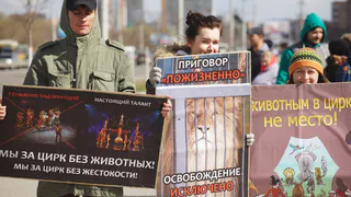 В Рязани зоозащитники протестовали против эксплуатации животных в цирке