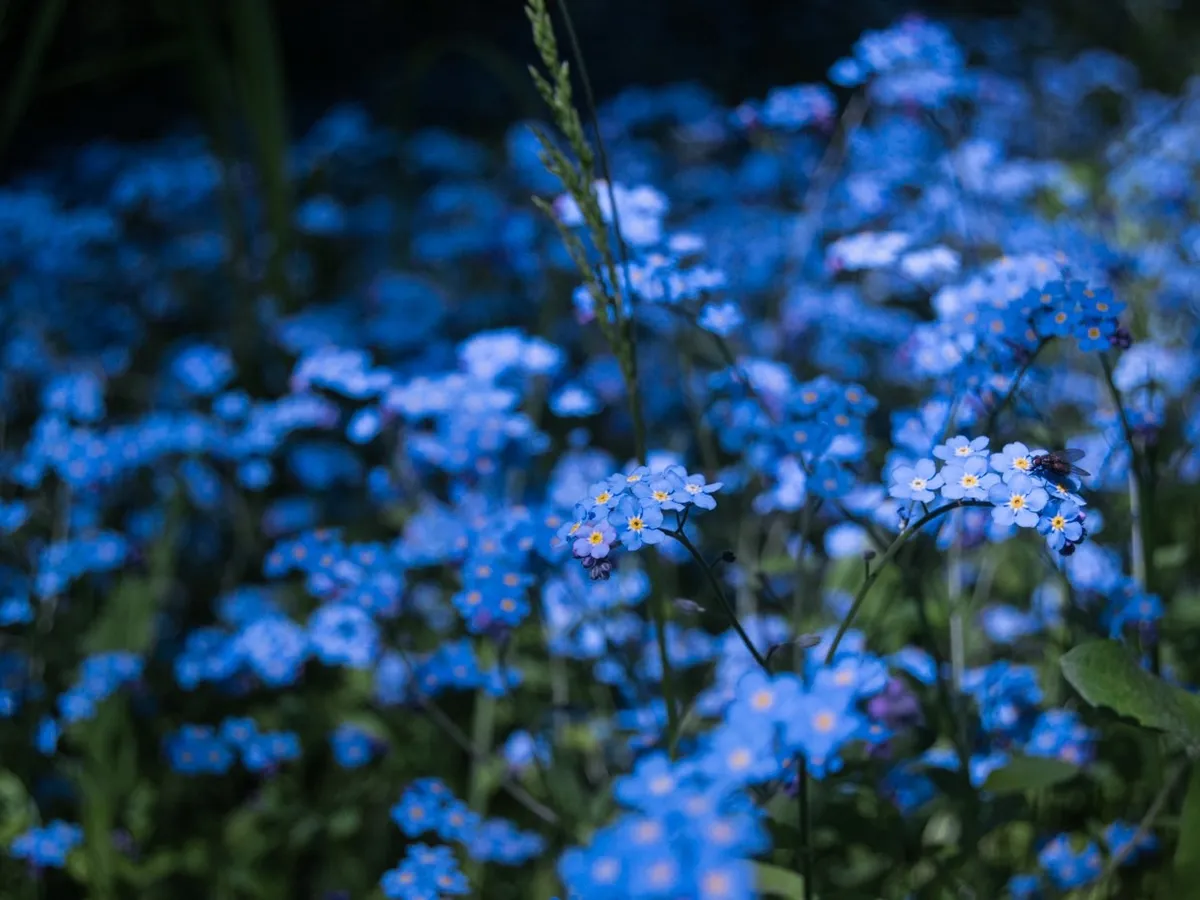 Астрологический прогноз: какие знаки зодиака ждет финансовый успех с 5 июня