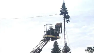 Праздник приближается: в Рязани начали устанавливать новогодние елки