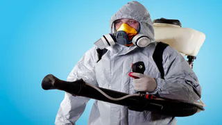 Эффективное уничтожение грызунов, насекомых и микробов