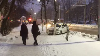 В Приокском иномарка влетела в дерево