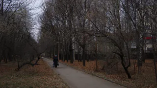 "Лавочки сломаны, фонари не работают" - коротко о парке "Братства по оружию"