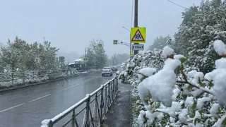 Бабье лето отменяется, тепла не будет: Вильфанд предрек аномальные для осени холода из-за Ла-Ниньи