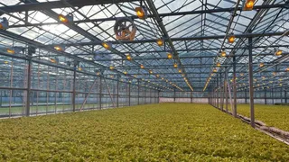 Почти 326 миллионов в Коми выделили на народные проекты