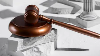 Новгородская компания поплатилась за несанкционированное изъятие земли из Судогодского района