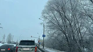 В Рязанской области погиб водитель автомобиля, влетевшего в дерево