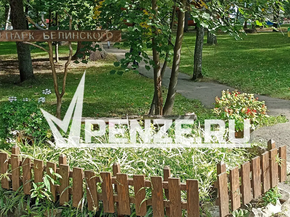 Пензенец просит установить камеру у входа в Комсомольский парк