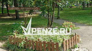 Пензенец просит установить камеру у входа в Комсомольский парк