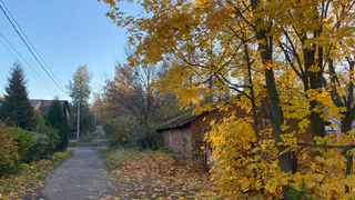 Бабье лето-2025: метеорологи определили, сколько будет длиться летнее тепло