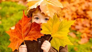 Погода недели: вот бы лето такое было...