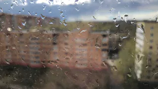 Не шашлык, а зонтик: какой будет погода на 1 мая?