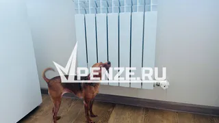 Отопительный сезон в Пензе стартует на этой неделе