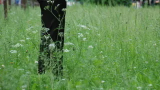 Нижнекамцы недовольны благоустройством дворов?