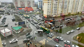 Названы новые цены на бензин: россияне просто такого не ожидали