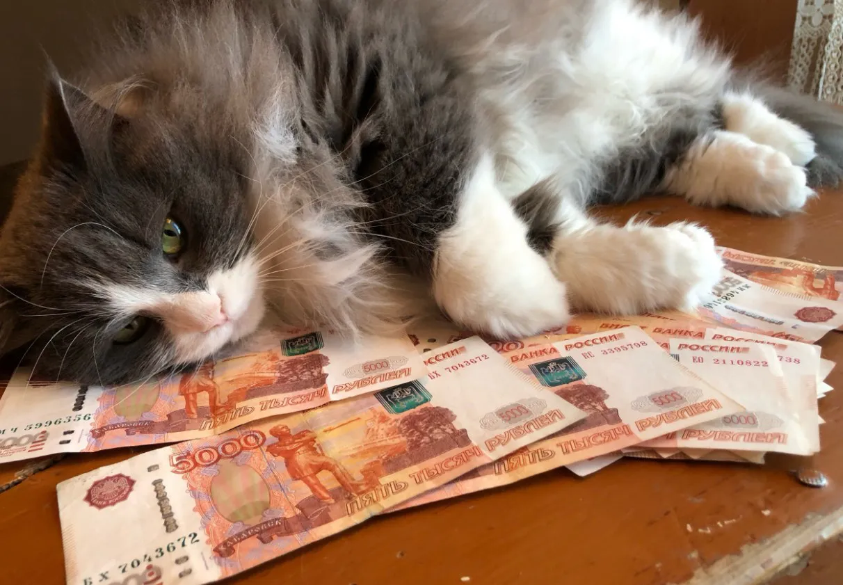 Названы ошибки россиян, которые уменьшают пенсию: вот куда смотреть - юрист Соловьев поставил точку