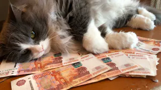 Названы ошибки россиян, которые уменьшают пенсию: вот куда смотреть - юрист Соловьев поставил точку