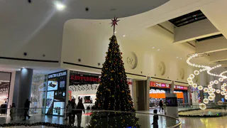 Кошельки лопнут от купюр: астролог Тамара Глоба предрекла денежную удачу трем знакам зодиака в декабре