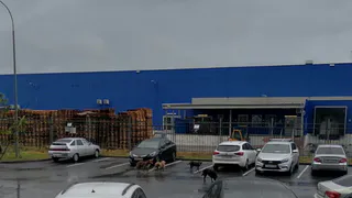 Жители Рязани сообщили о разгуливающей около ЖК «Метропарк» стае собак