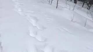 В Татарстане обнаружен труп, а рядом подпись "Нельзя"