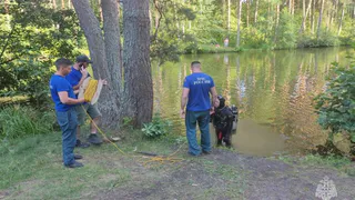 Во Владимирской области с начала купального сезона на воде погибли 11 человек