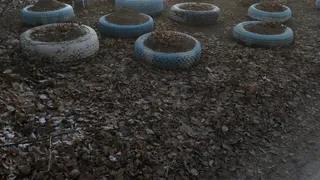 Кто должен отвечать за уборку старых шин? Рязанец пожаловался на клумбы с «автодизайном»