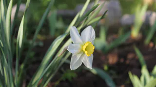 Прогноз синоптиков – какой погоды ждать рязанцам в среду