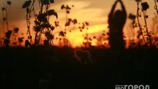 Астрологический прогноз на сегодня для всех знаков Зодиака: звёздное руководство для успешного дня